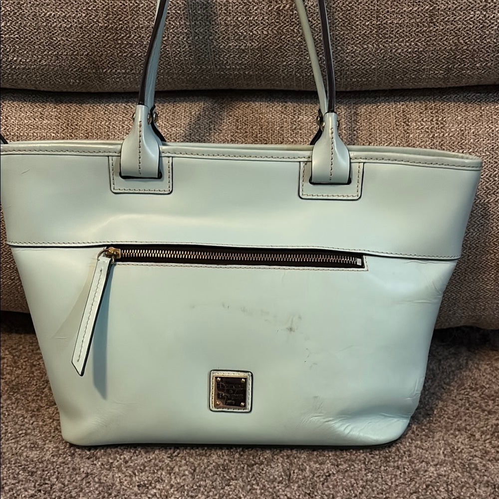 Elegant Mint Green Tote Bag